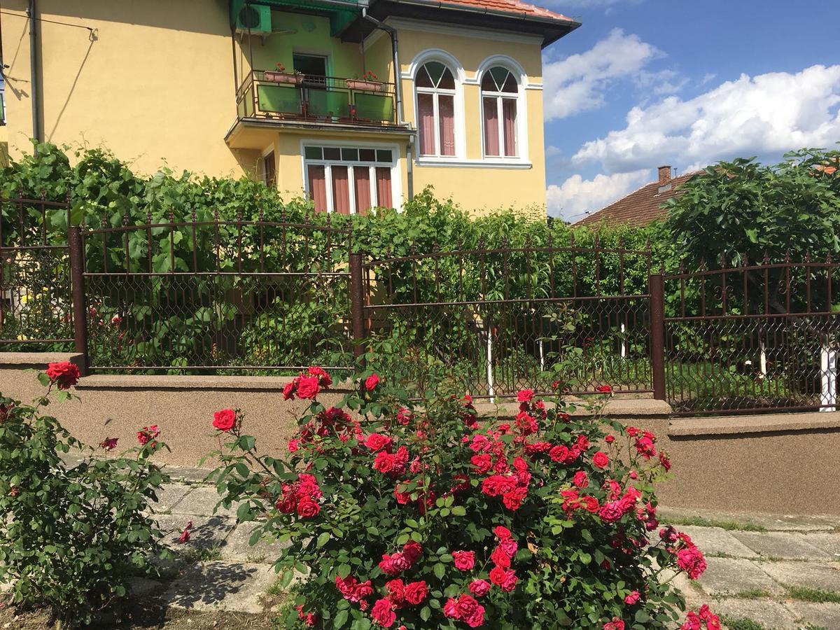 Vila Arjana Orsova Exterior photo